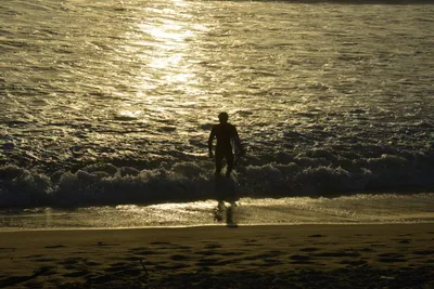 DSC_7258 (Large).JPG